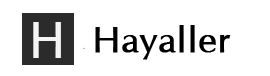 h3